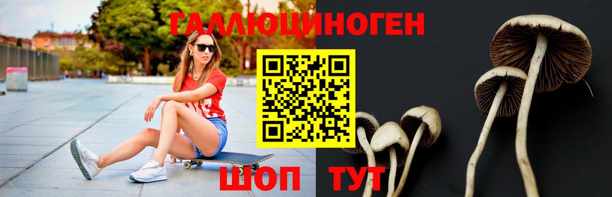 Псилоцибиновые грибы мицелий  Вход с VPN  Кировск 